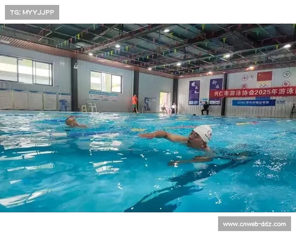 游泳赛事组织严密，确保比赛安全有序进行